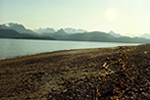 Homer, AK Beach 1990