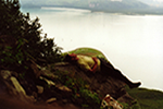 Tim on a cliff, Anchorage Sept 1992